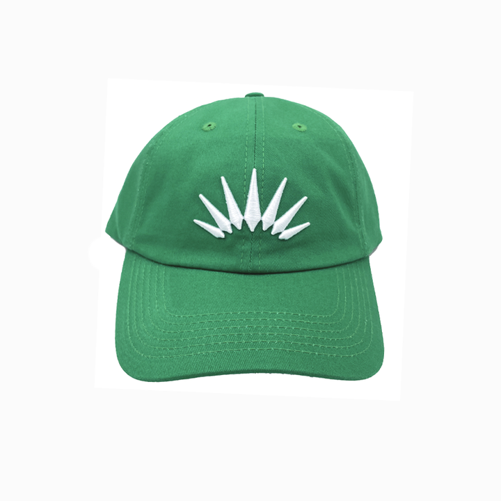 ERIZOS CAP DAD GREEN